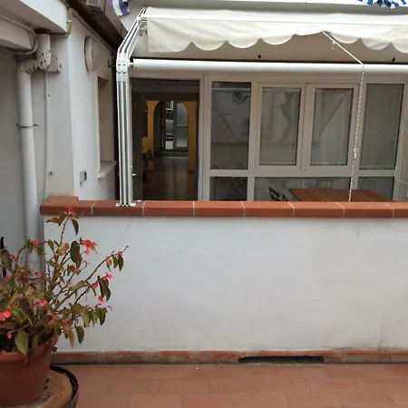 Molto Carino Viareggio